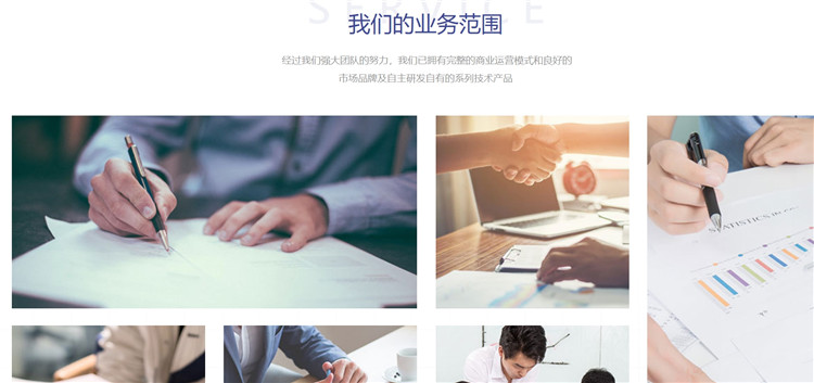 咨询策划网站案例 智慧驱动·卓越布局——以“[企业名称]全球化战略”为例
